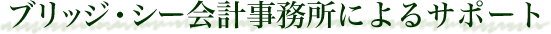丸尾税理士事務所によるサポート