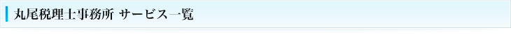 丸尾税理士事務所 サービス一覧