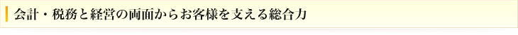 丸尾税理士事務所 サービス一覧